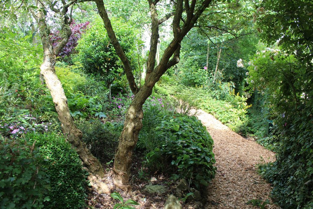 Au Jardin Des Violettes Acomodação com café da manhã Maheru Exterior foto